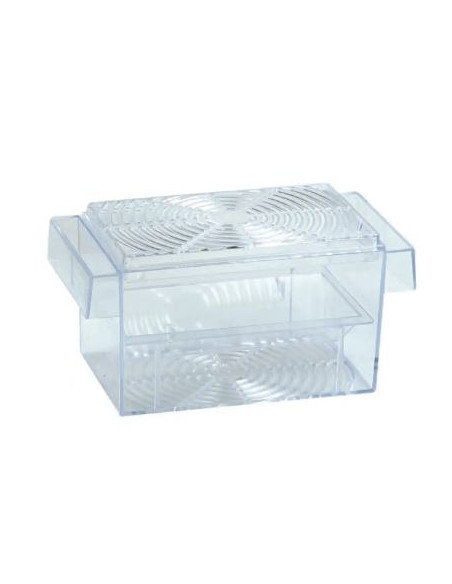 Réservoir pour Guppy, poissons d'eau douce de la marque Flamingo.