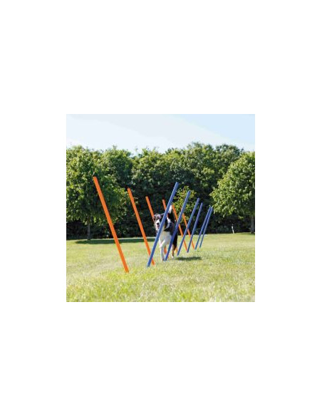 Jouet chien - extérieur - Slalom agility bleu et orange - Trixie