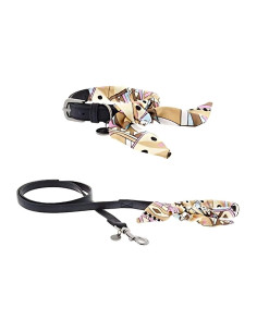 Collier et laisse pour chien "Aida" de Ferribiella. 

Taille 3 (15 cm).