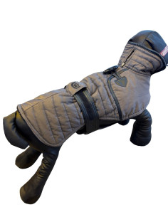 Doudoune pour chien "Levrier Tzar" de Milk & Pepper. 

Plusieurs tailles disponibles.