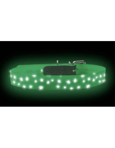 Collier fluorescent pour chien étoiles - Hunter
