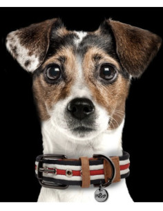 Collier "Héritage" pour chien de Milk&Pepper.