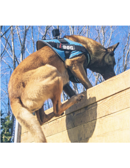 harnais neo cam avec fixateur de caméra