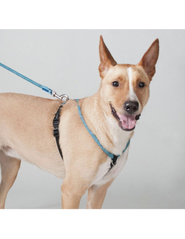 Harnais ergonomique pour chien S-M - High5dogs
