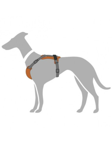 Harnais pour chien "Aalborg Mixed" rouge de Hunter.
