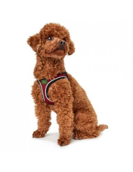 Harnais "Hilo Comfort" rouge - Hunter