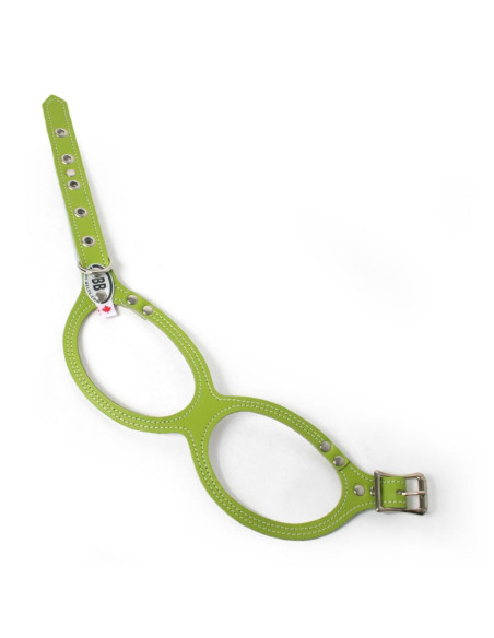 Harnais pour chien "Special" pomme verte de Buddy Belts.