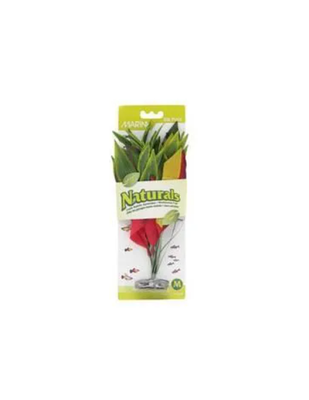 Pontédérie cordée "Jacinthe d'eau" rouge et jaune en soie Taille "M" de Naturals Marina.