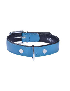 Collier pour chien Tomy bleu canard de Bobby.